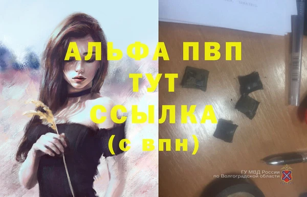 спайс Кукмор
